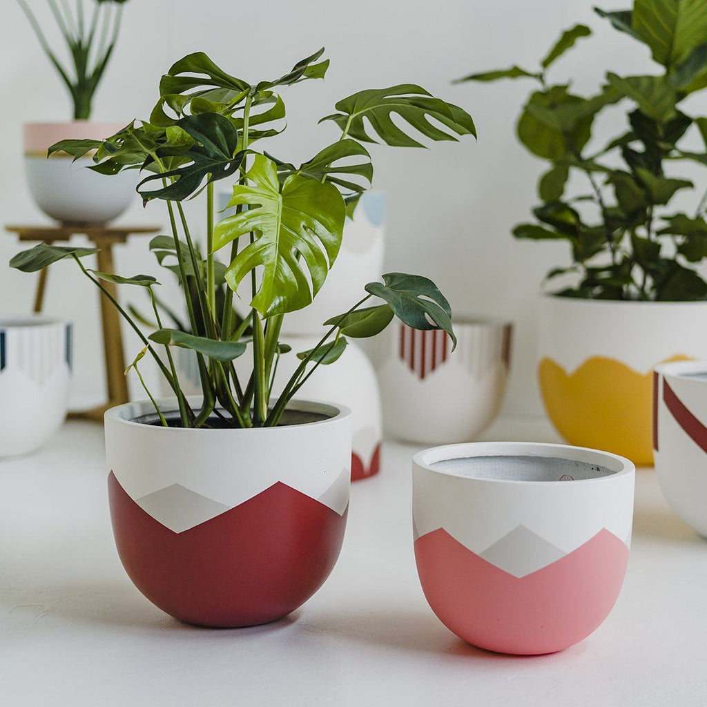 10 Creative Ways to Decorate with Ceramic Planters in Your Home